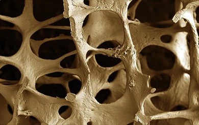 paratiroidi-e-osteoporosi-1
